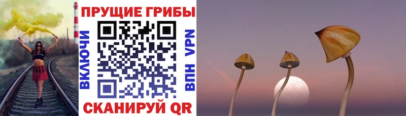 Псилоцибиновые грибы Cubensis  MEGA   Хвалынск 